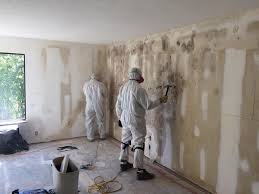 Best Environmental Consulting for Mold Prevention  in Woodbranch, TX